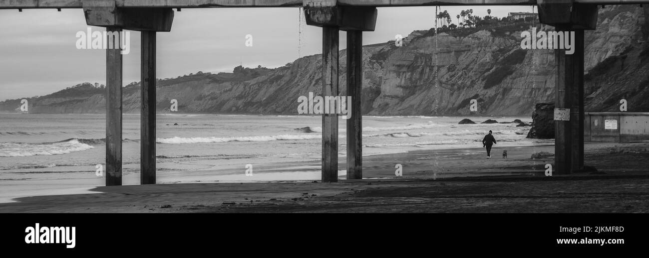 Eine malerische Aussicht auf eine Person mit ihrem Hund, die am Strand unter den Säulen eines Piers in Graustufen läuft Stockfoto