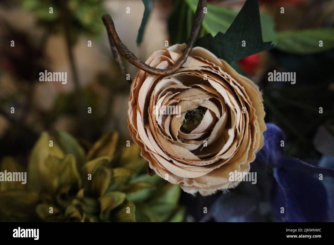 Eine Nahaufnahme einer braunen Kunstblume auf einem verschwommenen Hintergrund aus Blättern Stockfoto