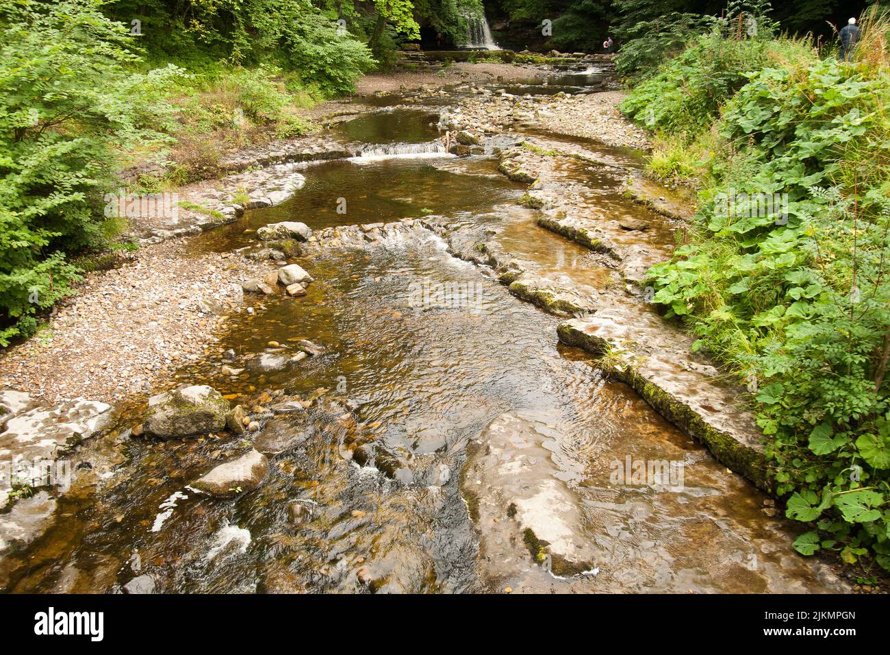 Walden Beck West Burton Yorkshire Dales Stockfoto