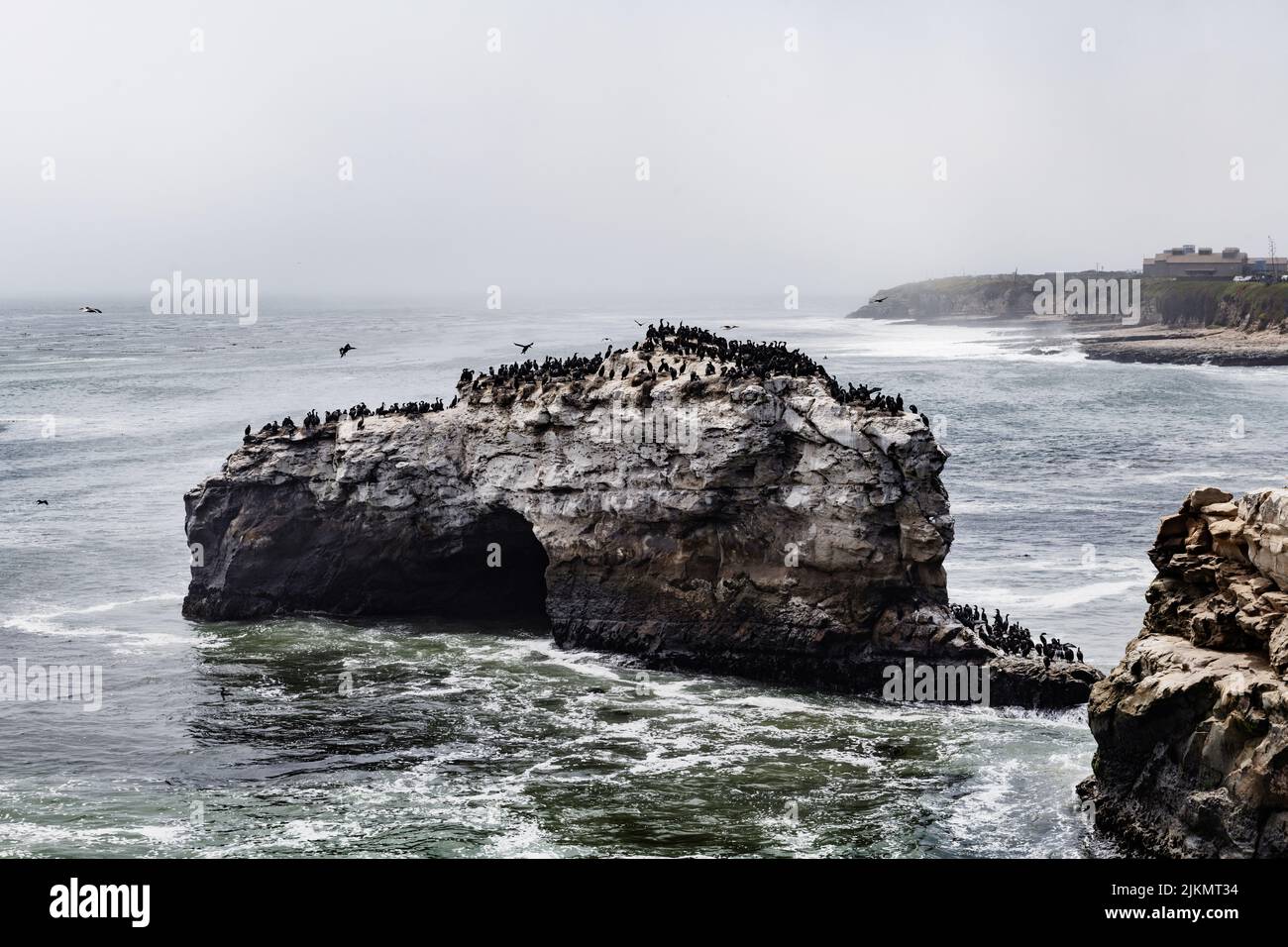 Naturbrücken State Beach, Santa Cruz, Kalifornien Stockfoto