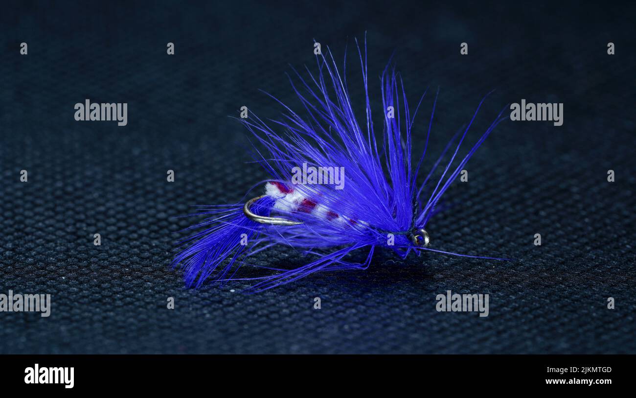 Eine Nahaufnahme einer gefesselten, flauschigen Angelfliege, die auf blauem Hintergrund isoliert ist Stockfoto