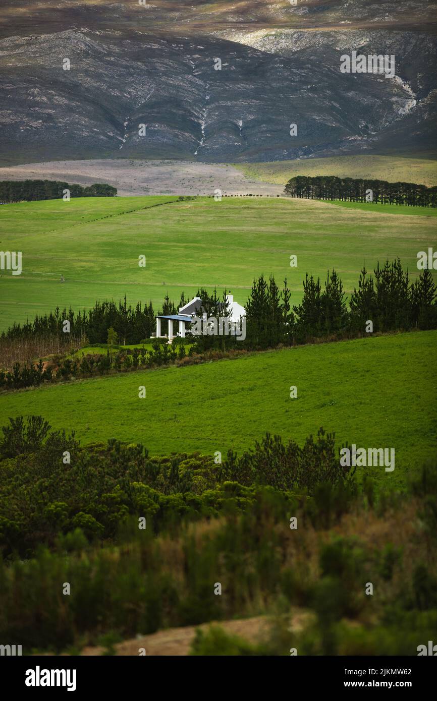 Eine vertikale Aufnahme eines von üppiger grüner Natur umgebenen Hauses in Kapstadt, Südafrika Stockfoto