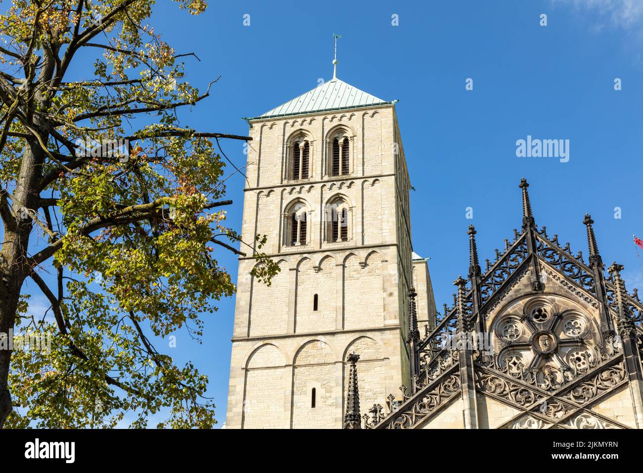 st. paulus dom in münster westfalen Stockfoto