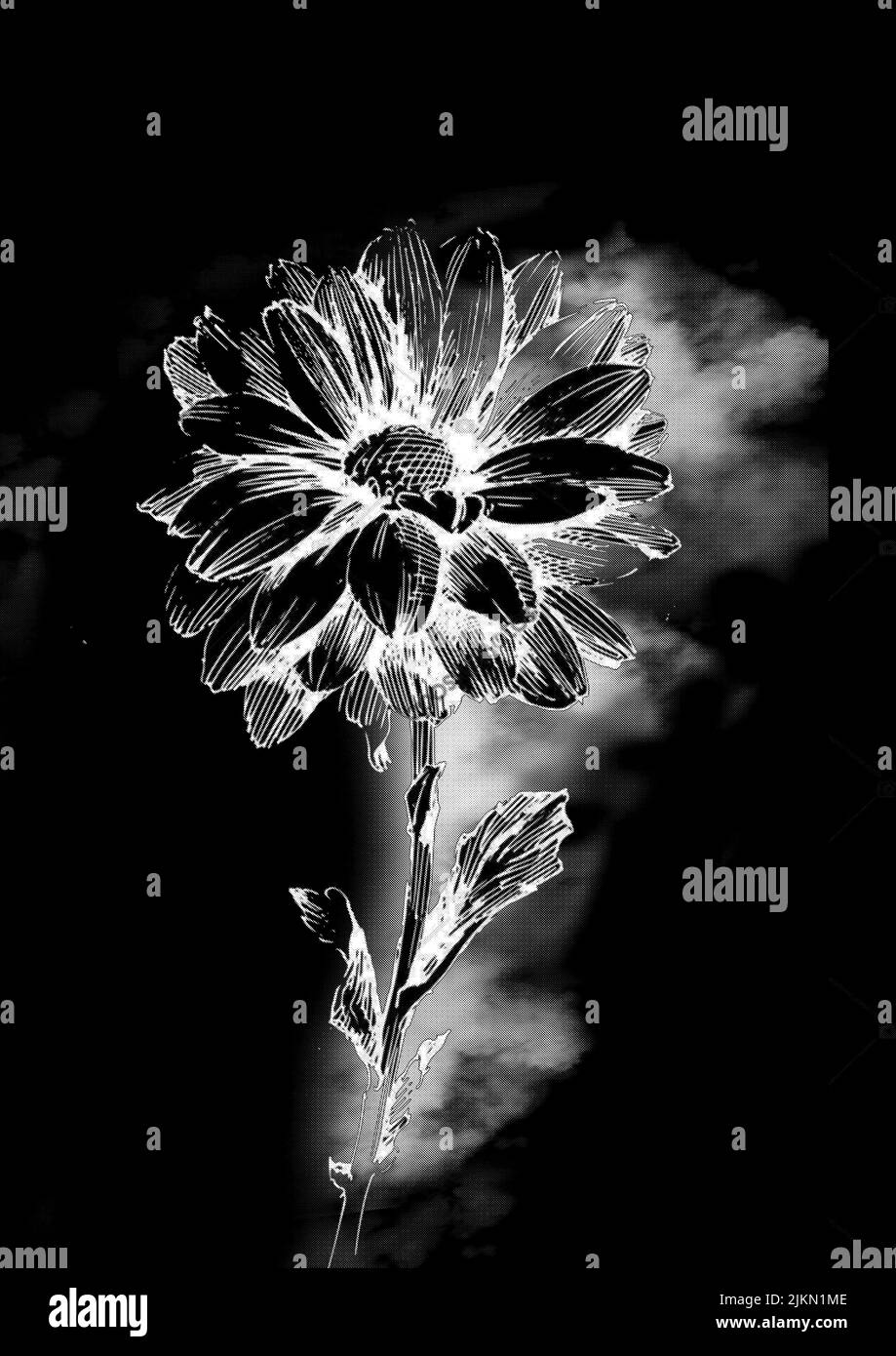 Eine vertikale Aufnahme einer Felsblumenkunst mit Graustufen-Design Stockfoto