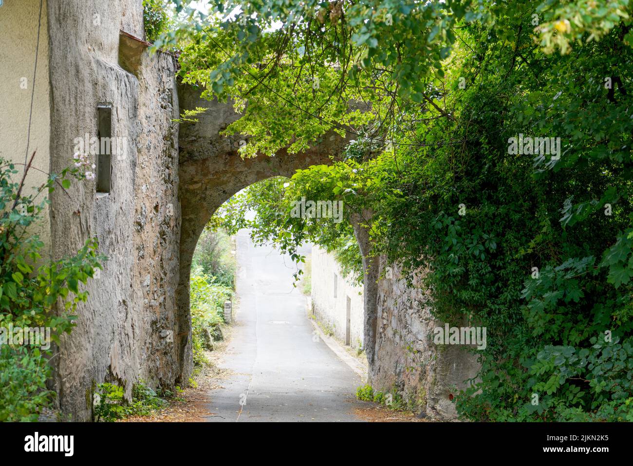 Ein schöner Blick auf die schmale Straße und den Bogen darüber zwischen den schönen Pflanzen Stockfoto