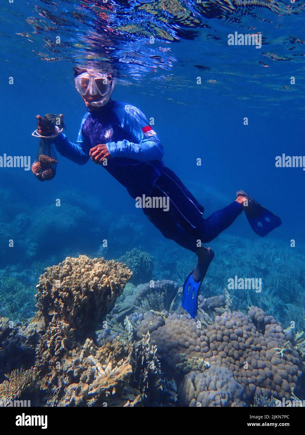 Indonesien Anambas-Inseln - Fischer sammeln Meeresschnecken Stockfoto