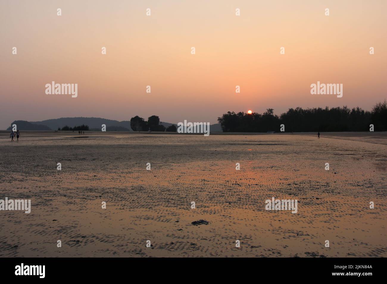 Eine sandige Wüste, die durch den Sonnenuntergang rosa gefärbt wurde Stockfoto