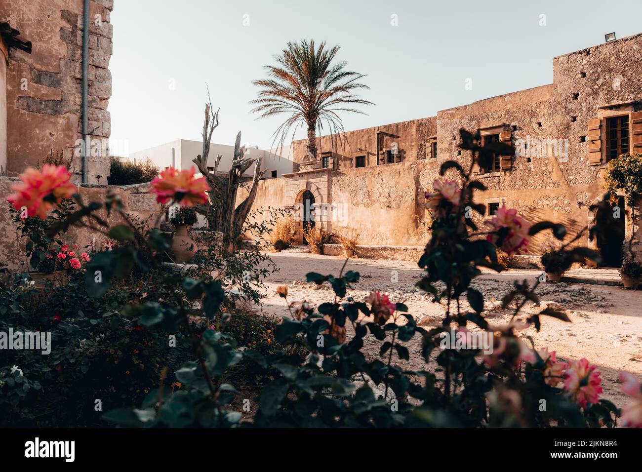 Ein flacher Fokus durch den Busch von rosa Blumen zu den alten Wänden des Arkadi Klosters in Kreta, Griechenland Stockfoto