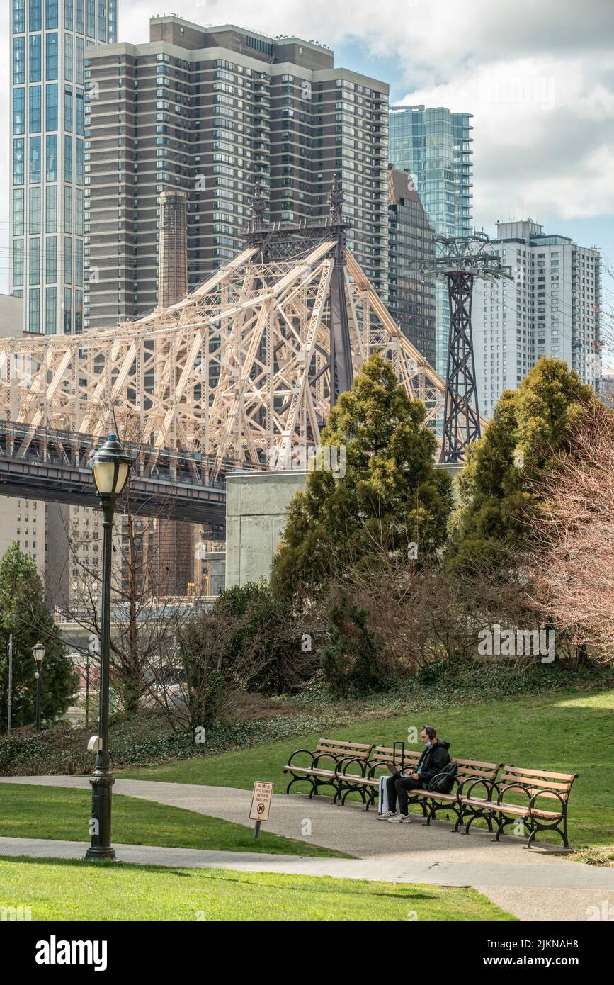 Eine vertikale Aufnahme von Wolkenkratzern und Queensboro Bridge auf Roosevelt Island, NY Stockfoto