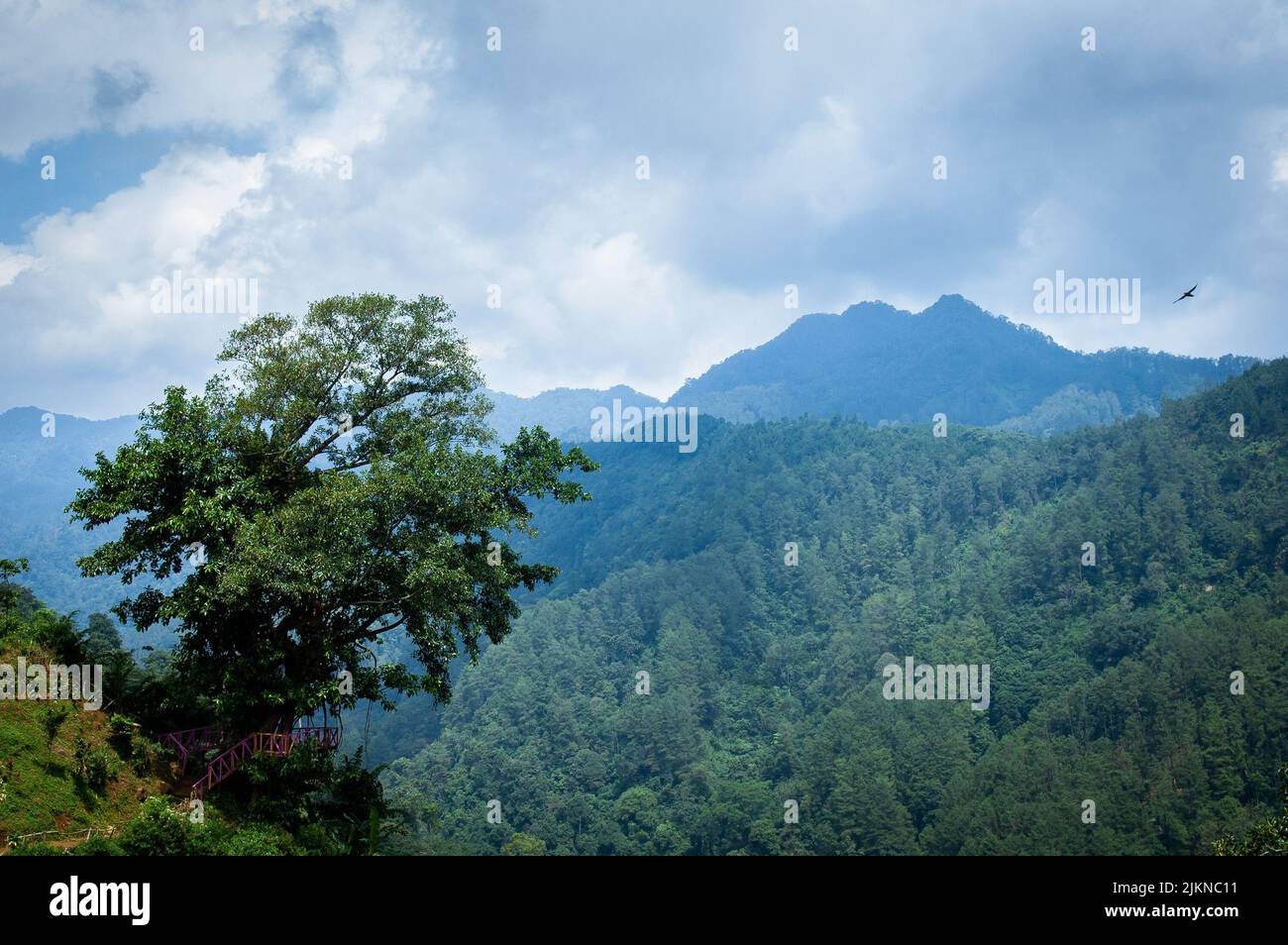 Eine schöne Aussicht auf Berge mit einem Wald unter dem wolkigen Himmel Stockfoto