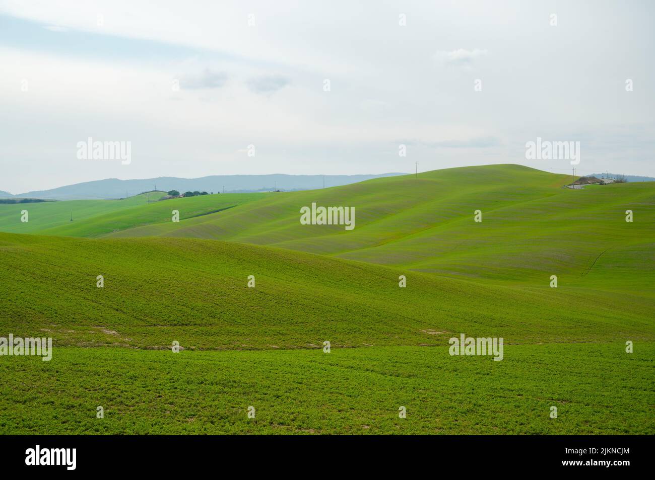 Eine malerische Aussicht auf Wiesen in der Via Francigena, Toskana, Italien Stockfoto