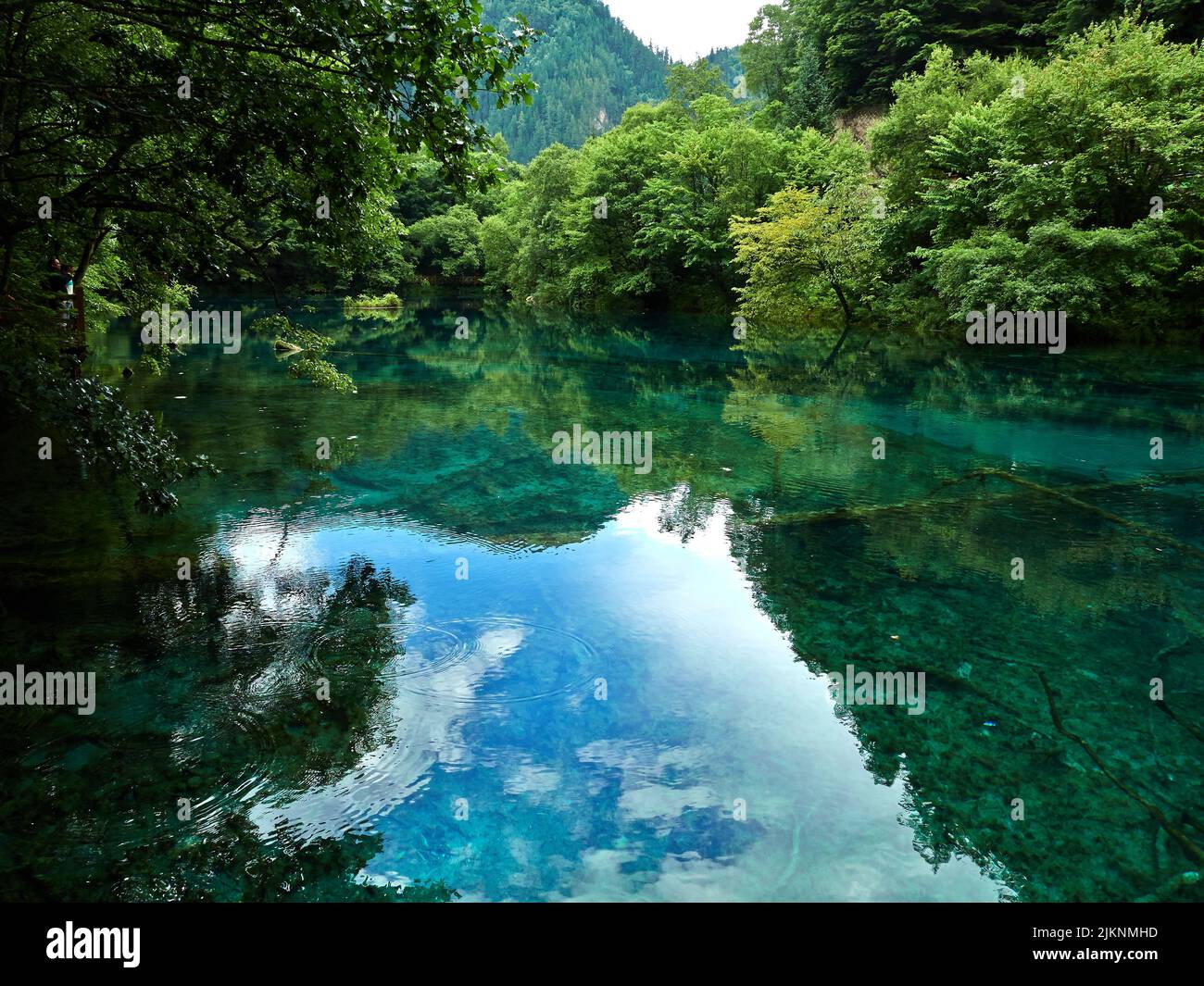 Der ruhige See mit dem Spiegelbild von grünen Bäumen und wolkig blauen Himmel in ihm Stockfoto