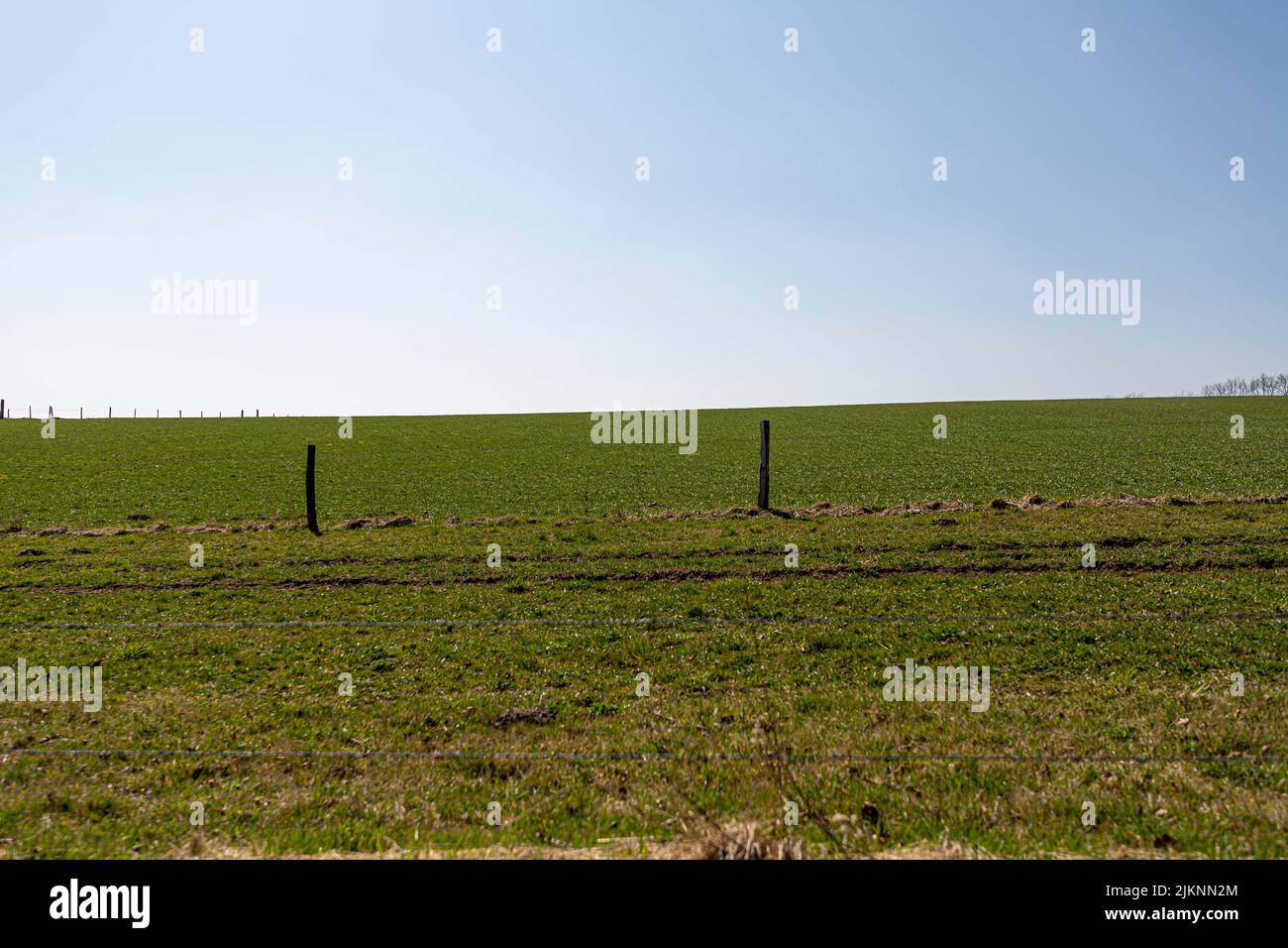 Eine schöne Aussicht auf ein frisches grünes Grasfeld in Vaux-sur-Sure, Belgien Stockfoto