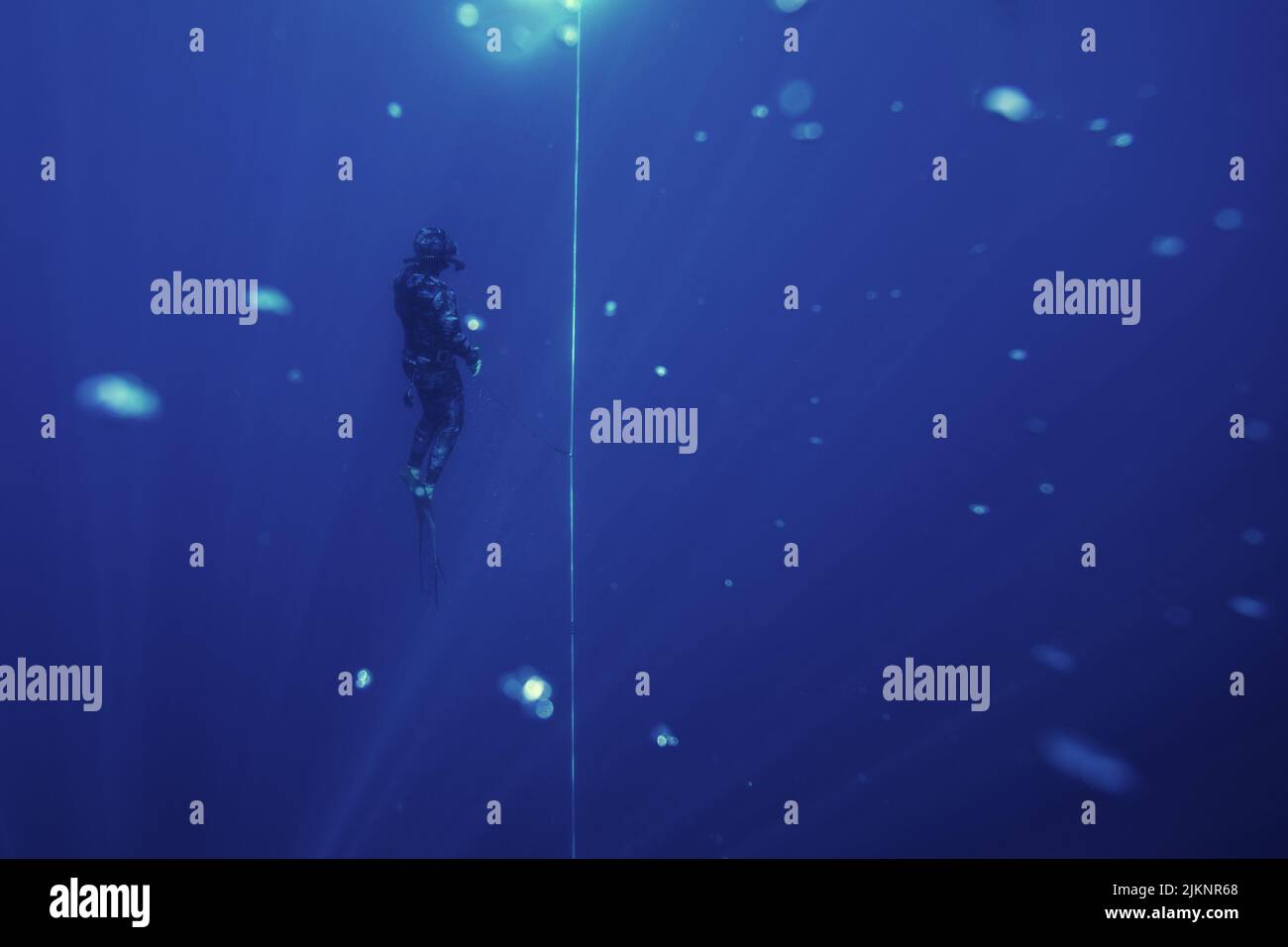 Eine Person in einem Tauchanzug und schwimmen Flossen erkunden die Unterwasserwelt Stockfoto