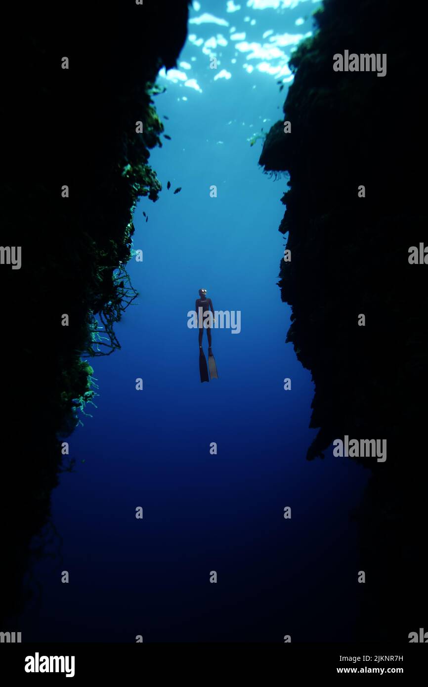 Eine vertikale Ansicht einer Person mit Schutzbrillen und Schwimmflossen, die die Unterwasserwelt erkundet Stockfoto