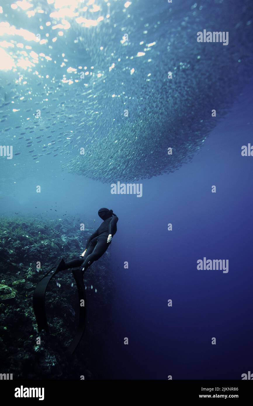 Eine vertikale Ansicht einer Person mit Schwimmflossen, die die Unterwasserwelt erkundet Stockfoto