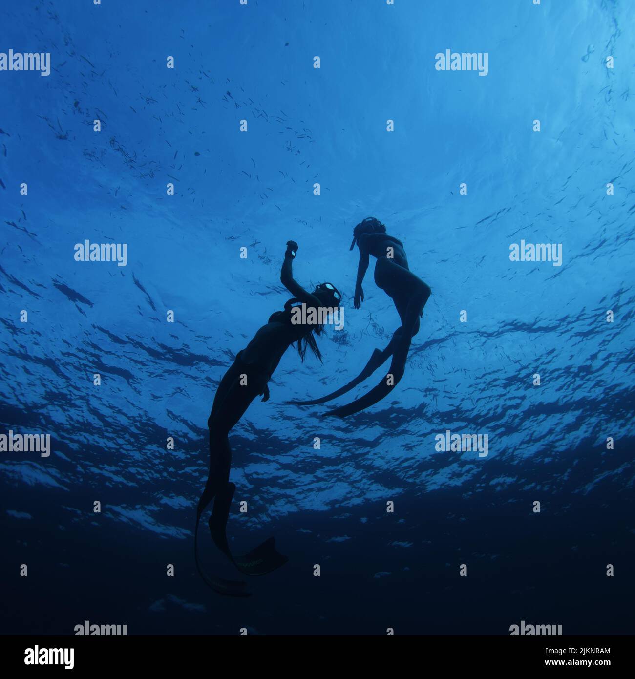 Die beiden Frauen mit Brille und Schwimmflossen erkunden die Unterwasserwelt Stockfoto