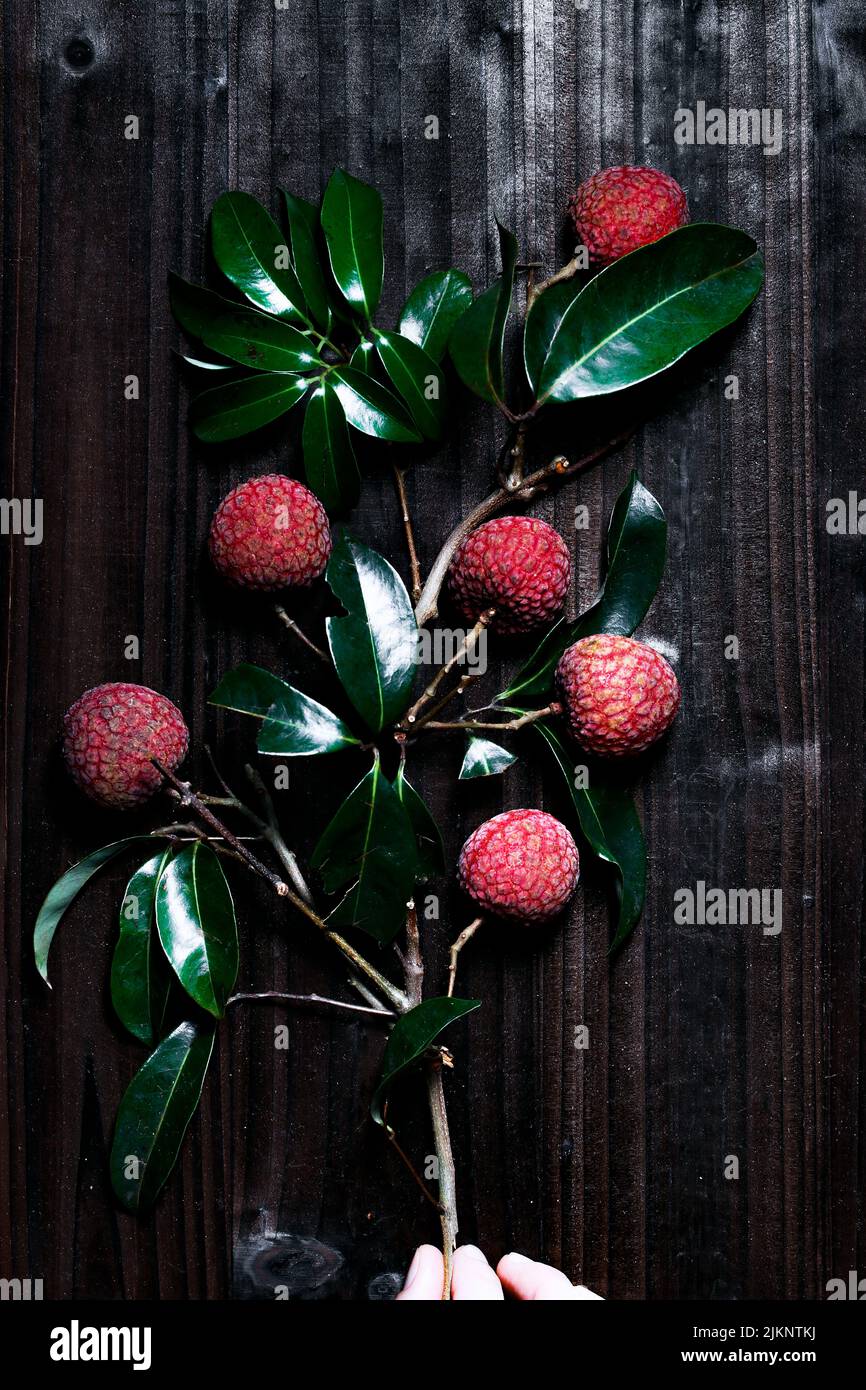 Eine vertikale Nahaufnahme der Lychee-Früchte auf dem Holztisch. Draufsicht. Stockfoto