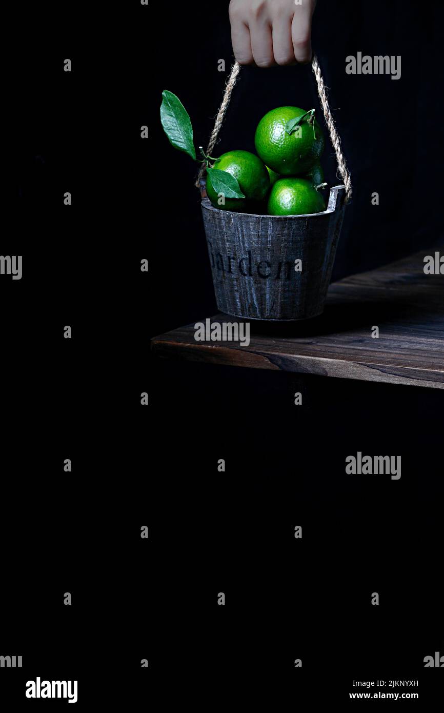 Eine menschliche Hand hält Eimer mit Haufen von Limetten isoliert auf schwarzem Hintergrund Stockfoto