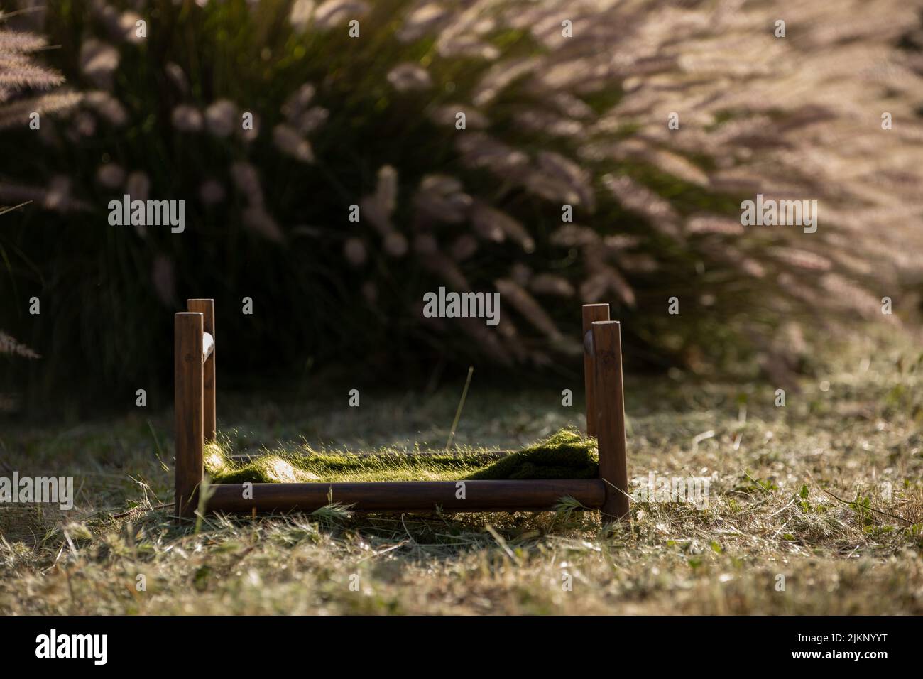 Neugeborener digitaler Hintergrund - Holzbett mit grüner Strickdecke auf grünem Gras mit Büschen, Sitzungssitzung Hintergrund. Stockfoto