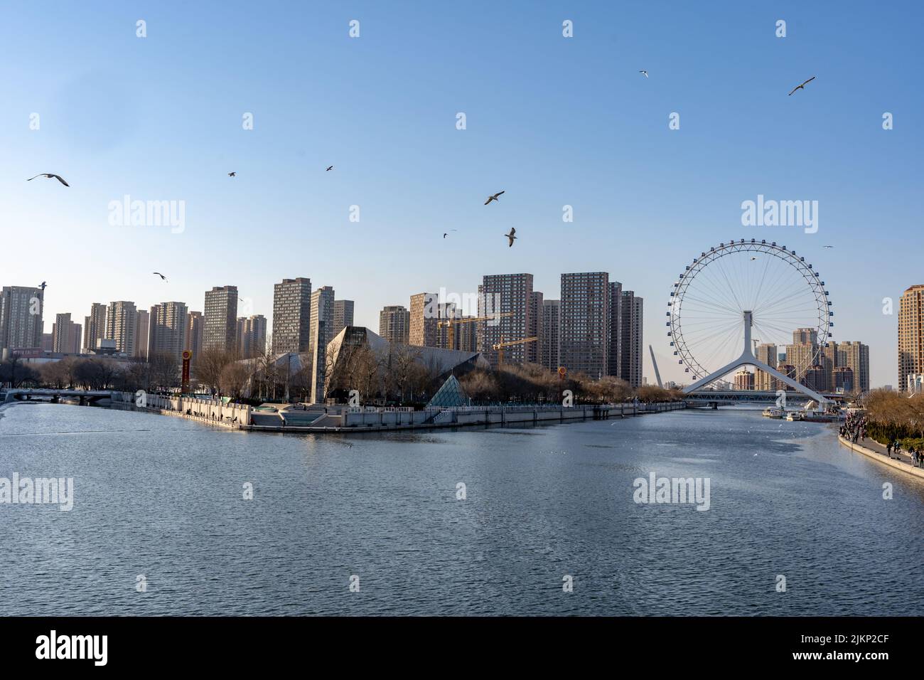 Der Tientsin Eye-Riese Ferris radet über der Yongle-Brücke über den Hai-Fluss in Tianjin, China. Stockfoto