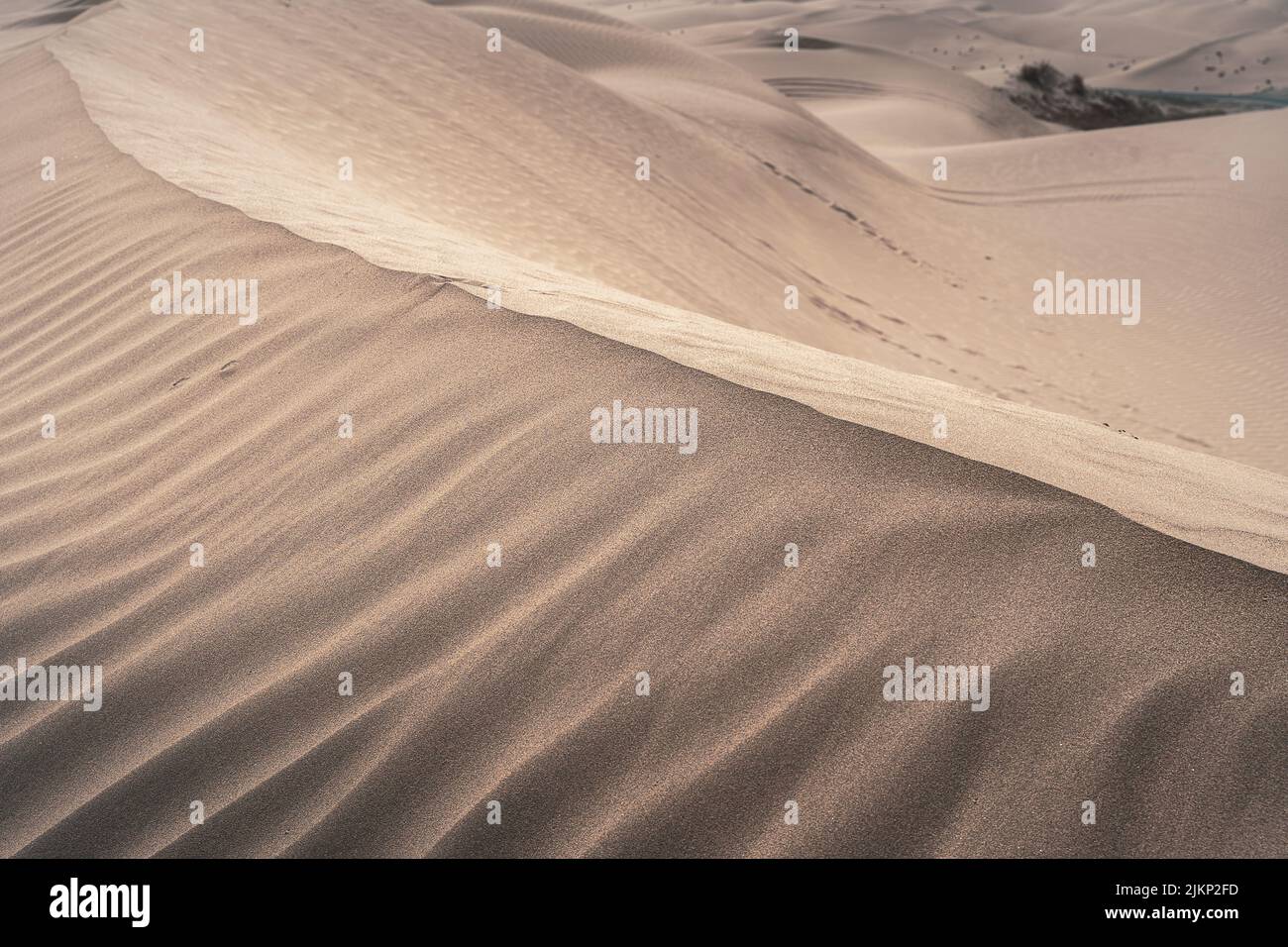 Ein unberührter Sandwüstenhügel im Sonnenlicht Stockfoto