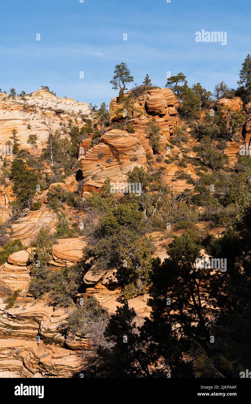 Eine vertikale Aufnahme von wunderschönen Felsformationen entlang des malerischen Mount Carmel Highway in Utah Stockfoto