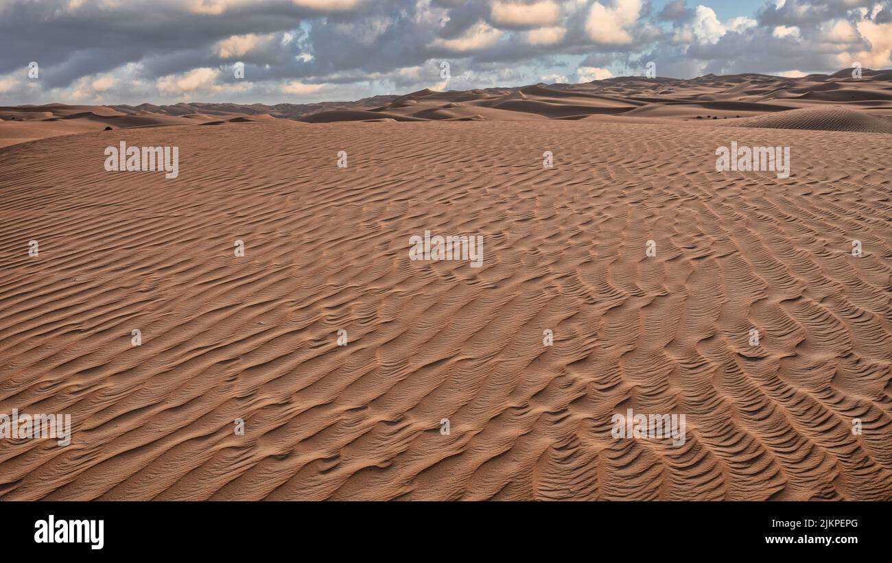 Eine riesige Weite von Sandkräuseln, die durch die konstanten Winde der Liwa-Wüste im leeren Viertel der Vereinigten Arabischen Emirate geformt wurden. Stockfoto
