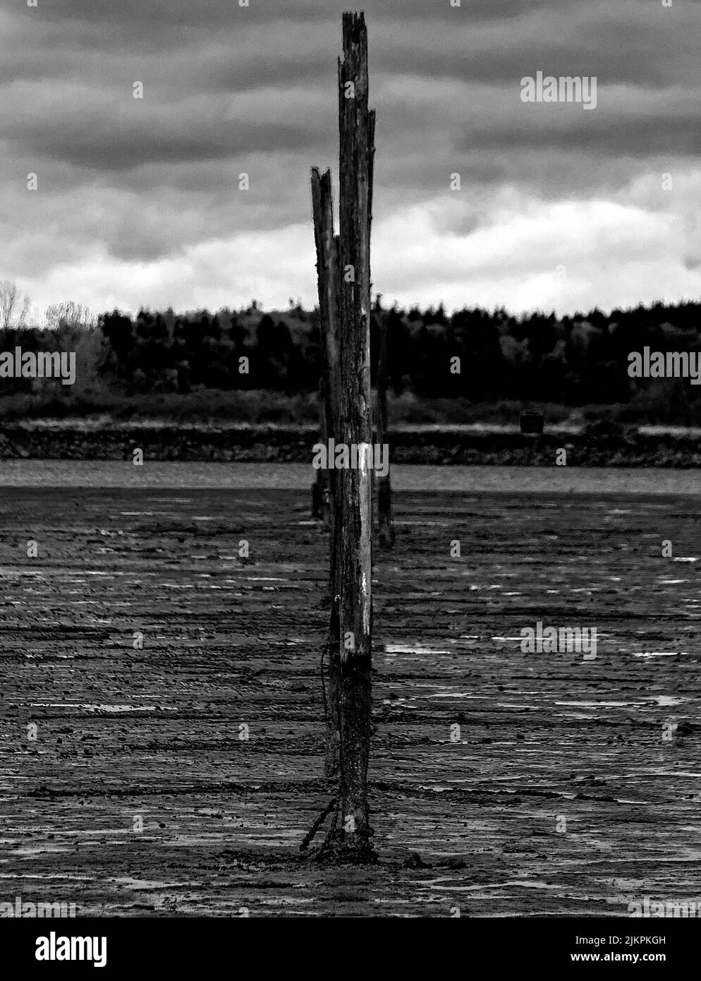 Eine vertikale Aufnahme von alten Holzplanken im Wasser in einer ländlichen Gegend Stockfoto