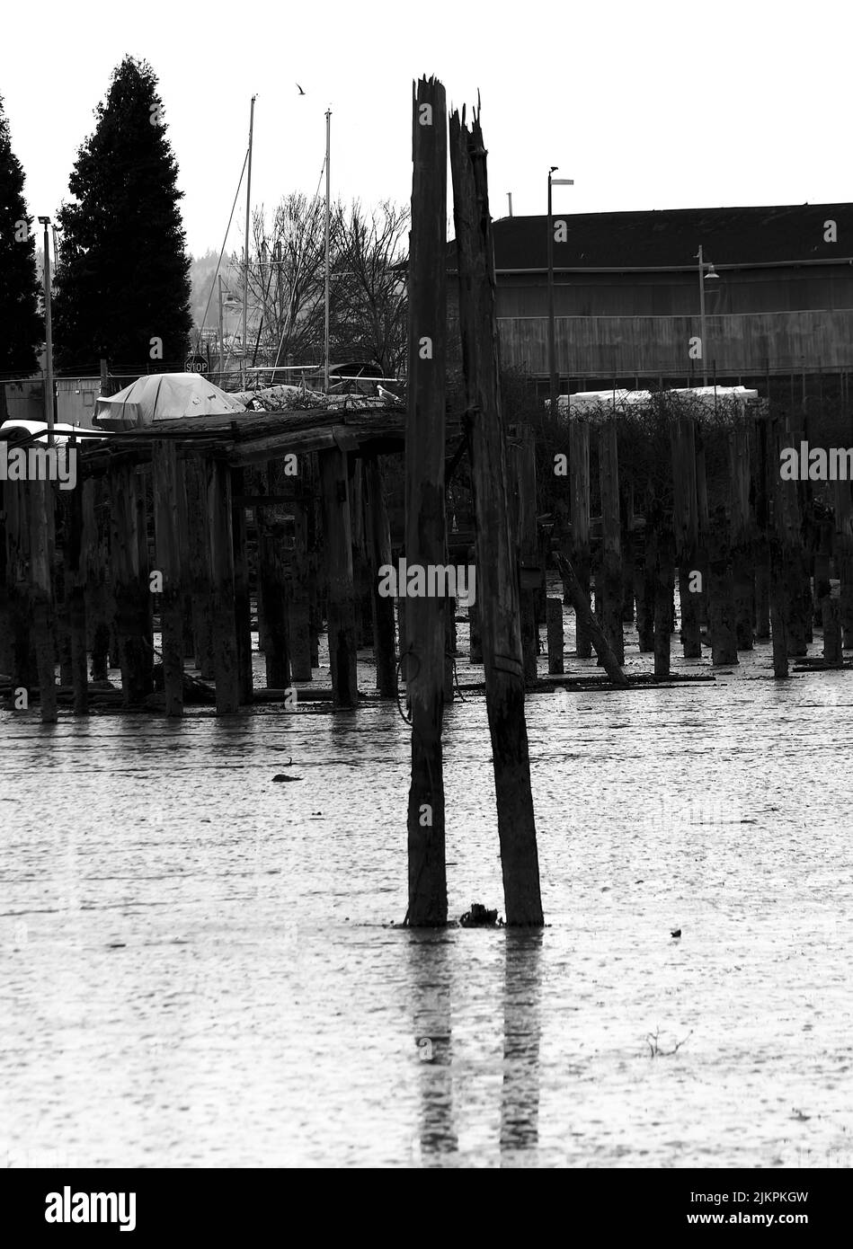 Eine vertikale Aufnahme von alten Holzplanken im Wasser in einer ländlichen Gegend Stockfoto