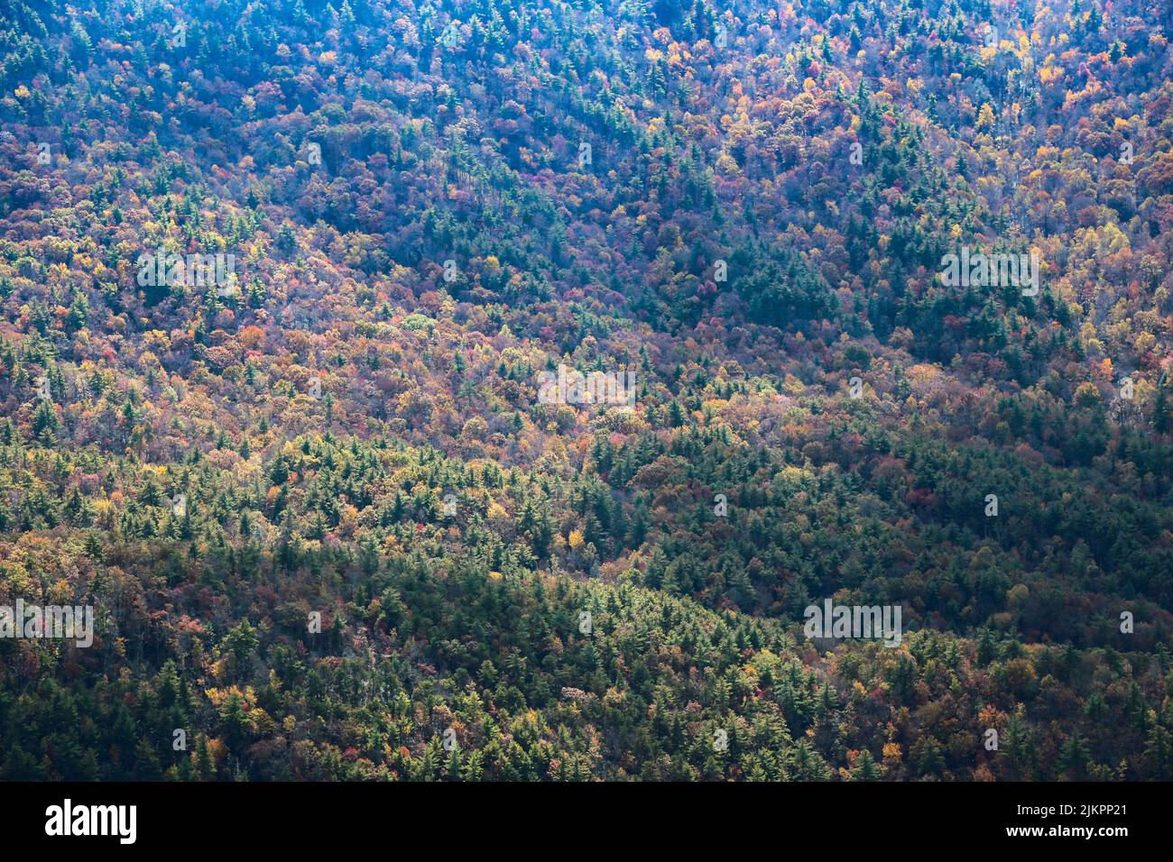 Die schöne Aufnahme der herbstlichen natürlichen Hügellandschaft Stockfoto
