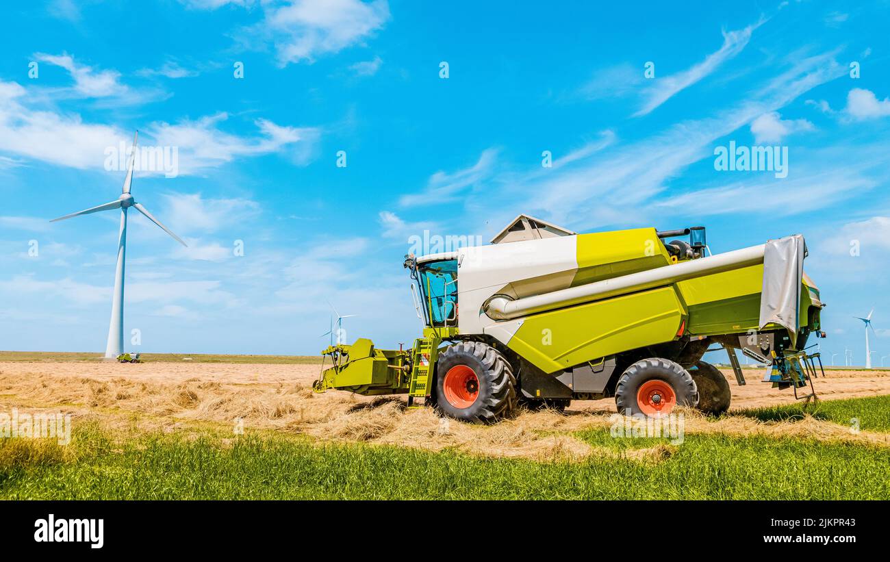 Traktor an Land, Harvesting Maschine Traktor arbeitet auf dem Feld. Draufsicht von der Drohne Mähdrescher landwirtschaftliche Maschine Fahrt im Feld von goldenem reifem Weizen, Noordoostpolder Niederlande. Stockfoto