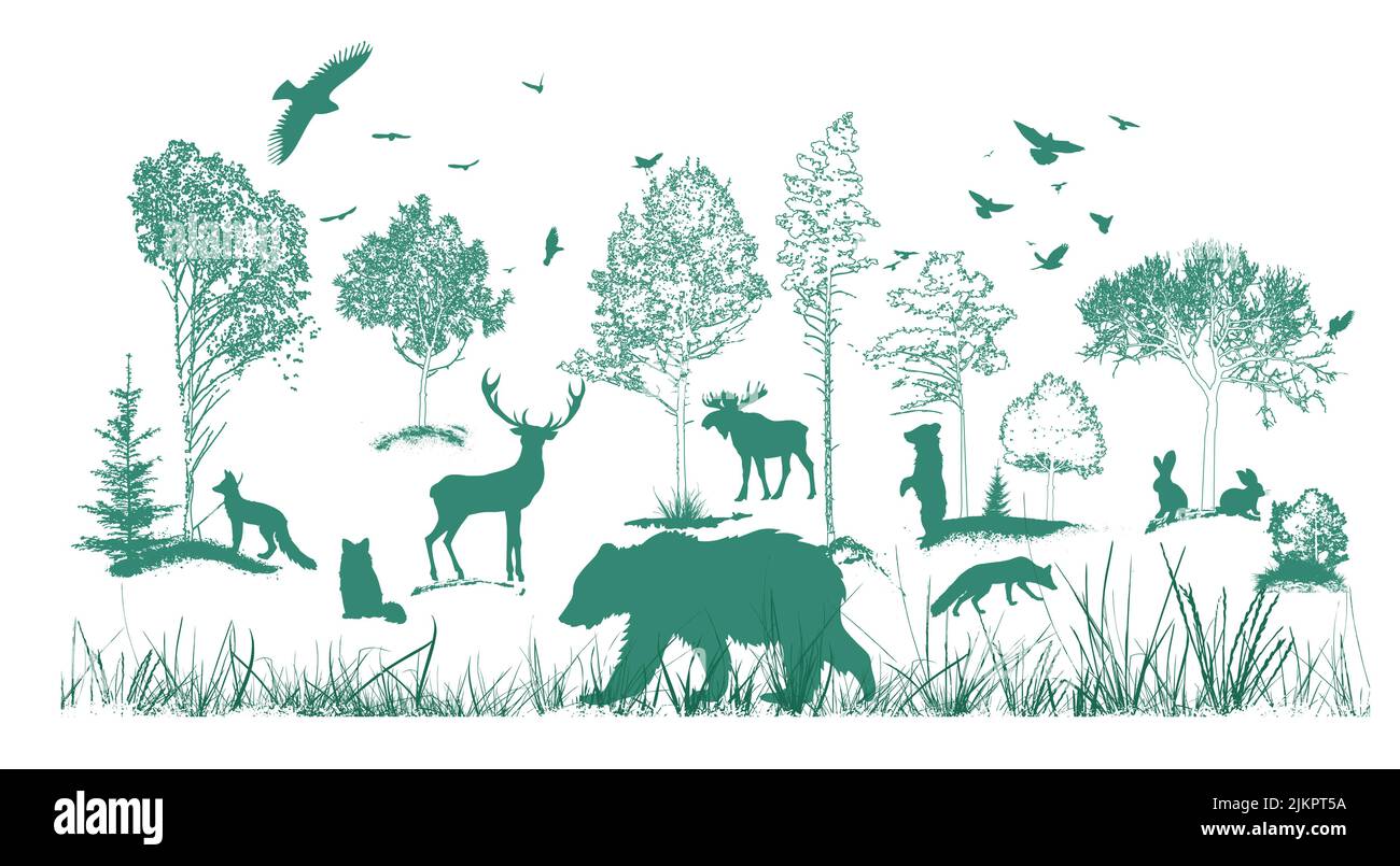 Waldlandschaft mit Silhouetten von Tieren. Vektorgrafik Stock Vektor