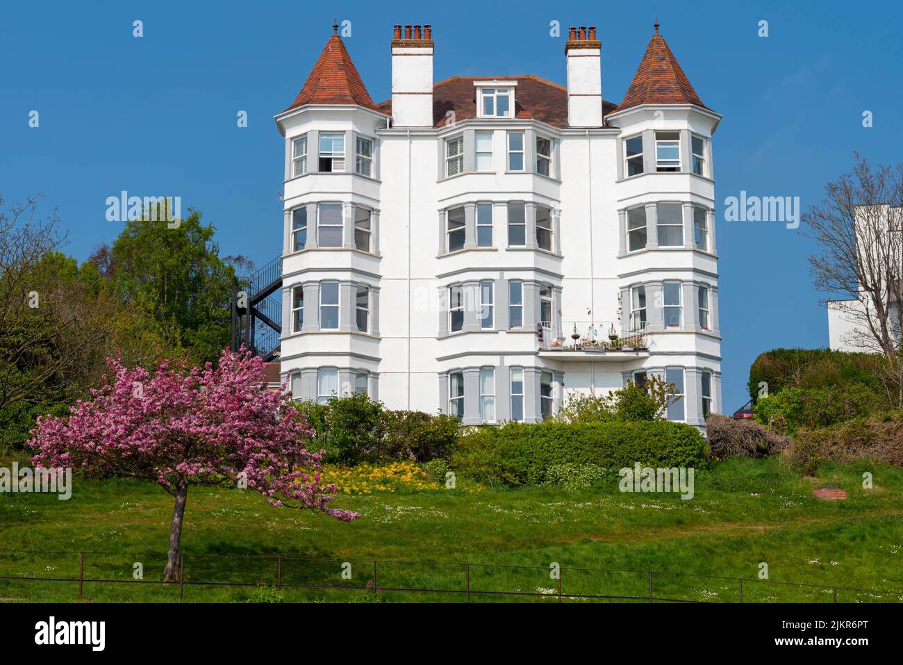 Rosa Baumblüten, Cliff Gardens unterhalb der San Remo Herrenhäuser, San Remo Parade, Westcliff on Sea, Essex, Großbritannien. 1900s Edwardianisches Haus über der Strandpromenade Stockfoto