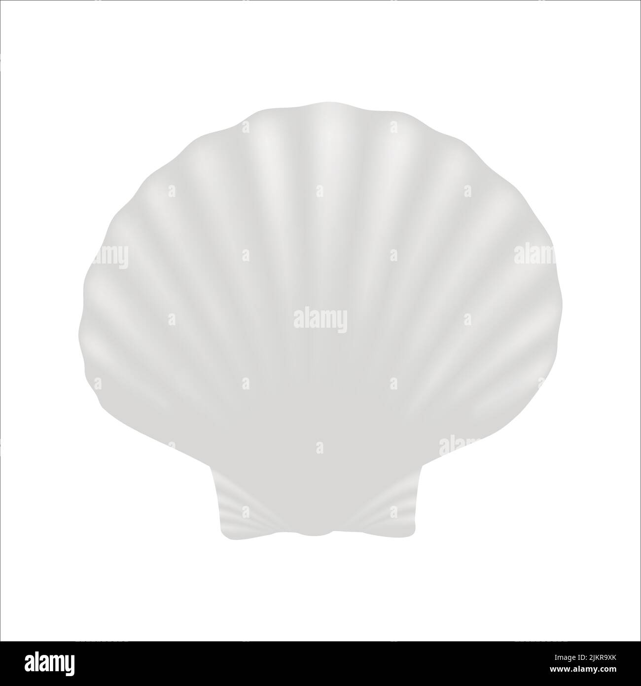 3D Seemuschelvektordarstellung isoliert auf Weiß Stock Vektor