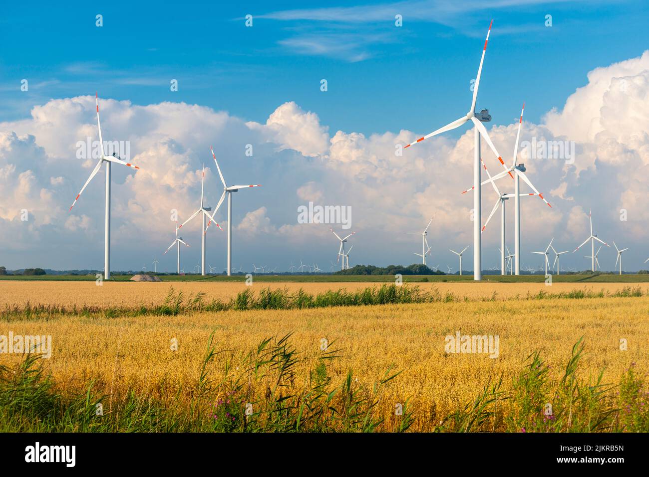 Windpark in den Sümpfen von Reußenköge, Nordfriesland, Nordsee, Schleswig-Holstein, Norddeutschland, Stockfoto
