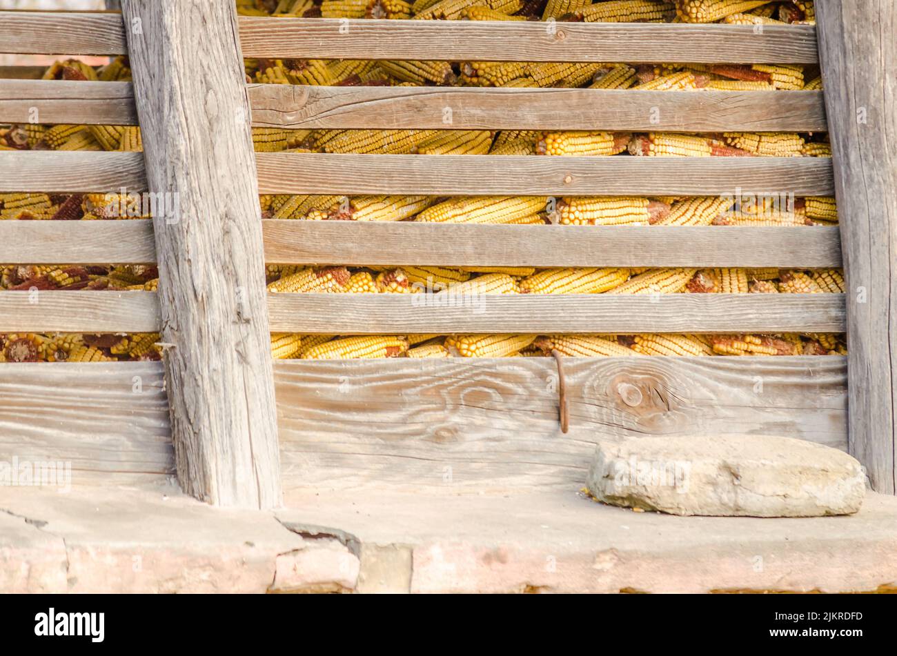 Traditionelle ländliche Maisscheune in einem Europa. Rustikale hölzerne Maisscheune auf dem Bauernhof, Nahaufnahme, ländliche Szene. Stockfoto