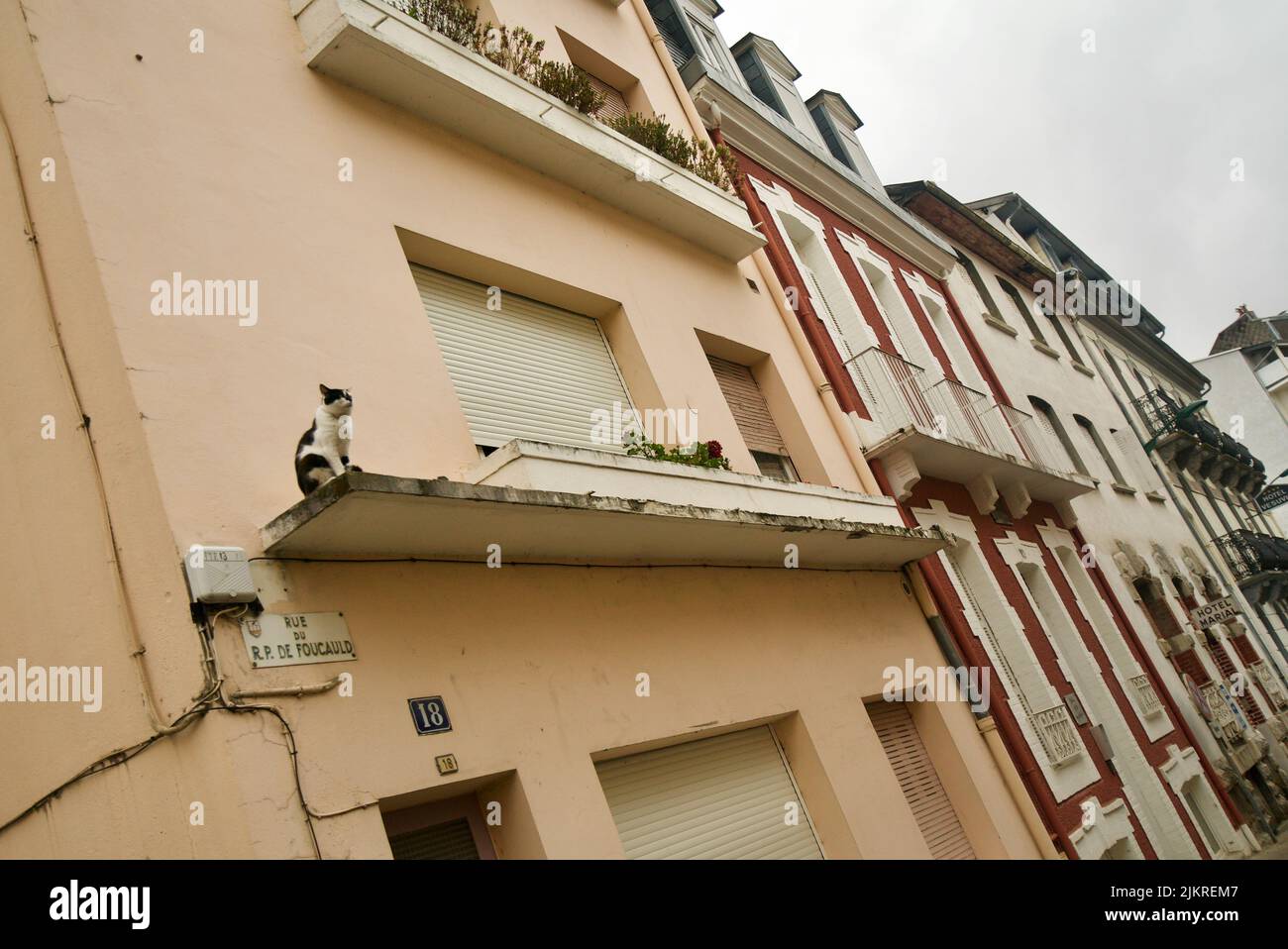 Schwarz-weiße Katze saß auf einem Fenstervorsprung eines Hauses in einer französischen Stadt (Lourdes) Stockfoto
