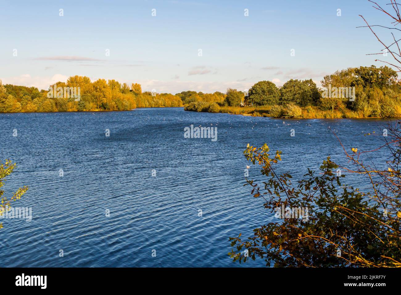 Dinton Alamens Country Park, ein Landschaftspark in der Zivilgemeinde St. Nichola Hurst, im Bezirk Wokinghamvin, der englischen Grafschaft von Bergshire Stockfoto