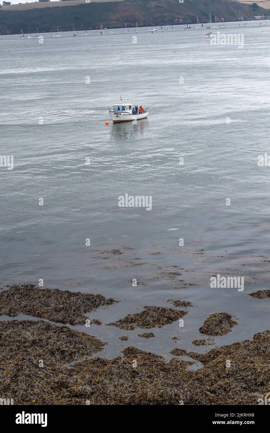 Seefischen von einem Boot aus Stockfoto