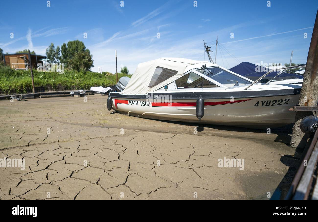 Beusichem, Niederlande. 03. August 2022. 2022-08-03 13:47:02 BEURICHEM - Boote liegen im Schlamm in der Marina. Die Dürre verursacht einen niedrigen Wasserstand und verursacht Probleme in der Lek und vielen anderen Flüssen. ANP JEROEN JUMELET netherlands Out - belgium Out Credit: ANP/Alamy Live News Stockfoto