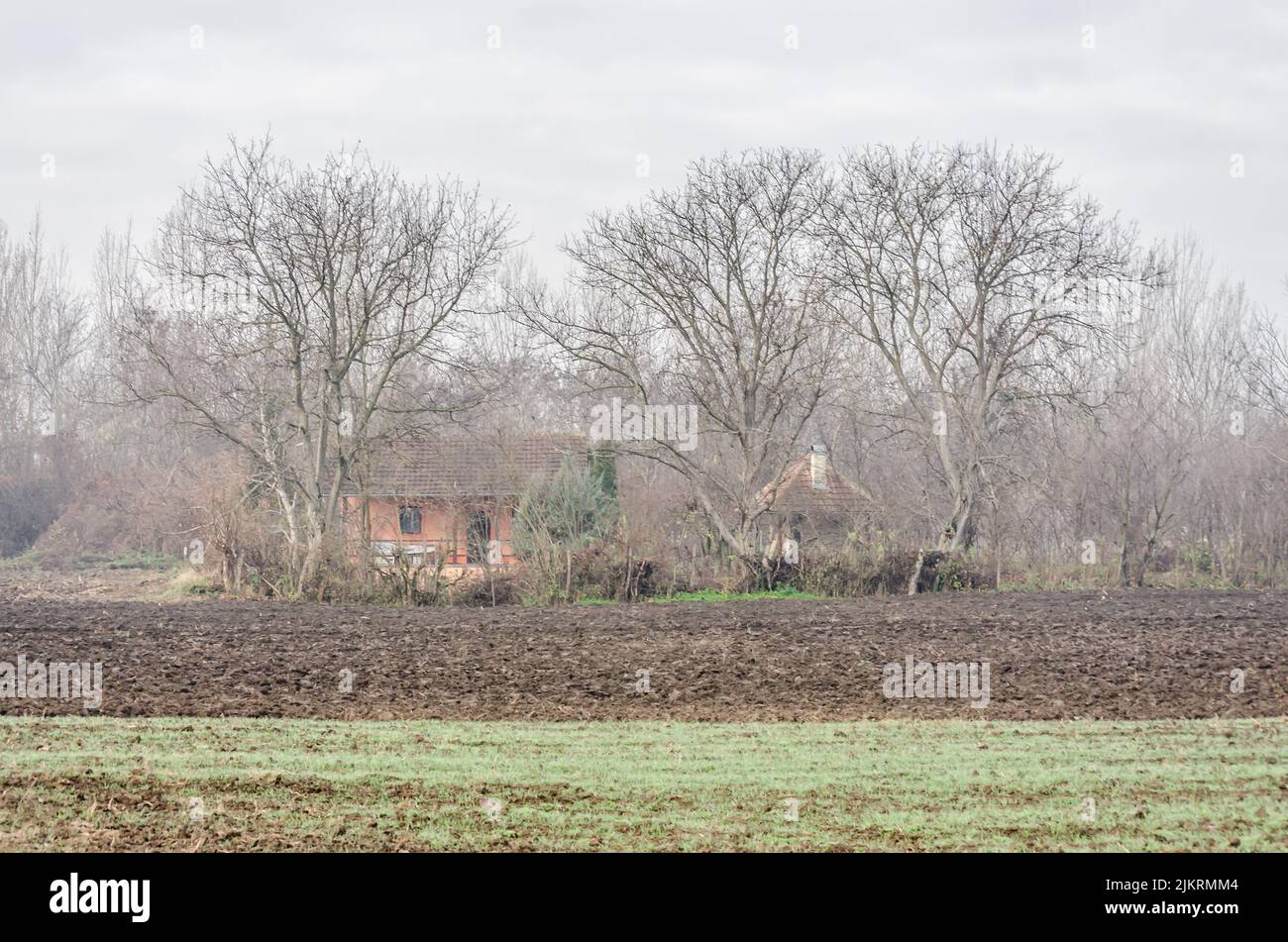 Ackerland und Winterkulturen in Serbien auf dem Hintergrund des Gehöfts. Stockfoto