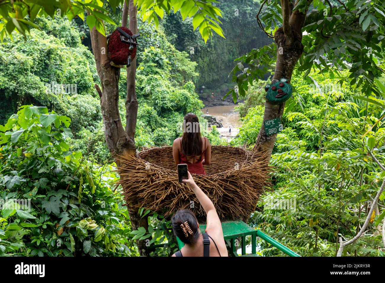 Bali, Indonesien - 25. März 2019: Rückansicht einer Frau, die eine Frau in einem großen Vogelnest mit Blick auf die Natur auf Bali fotografiert. Stockfoto