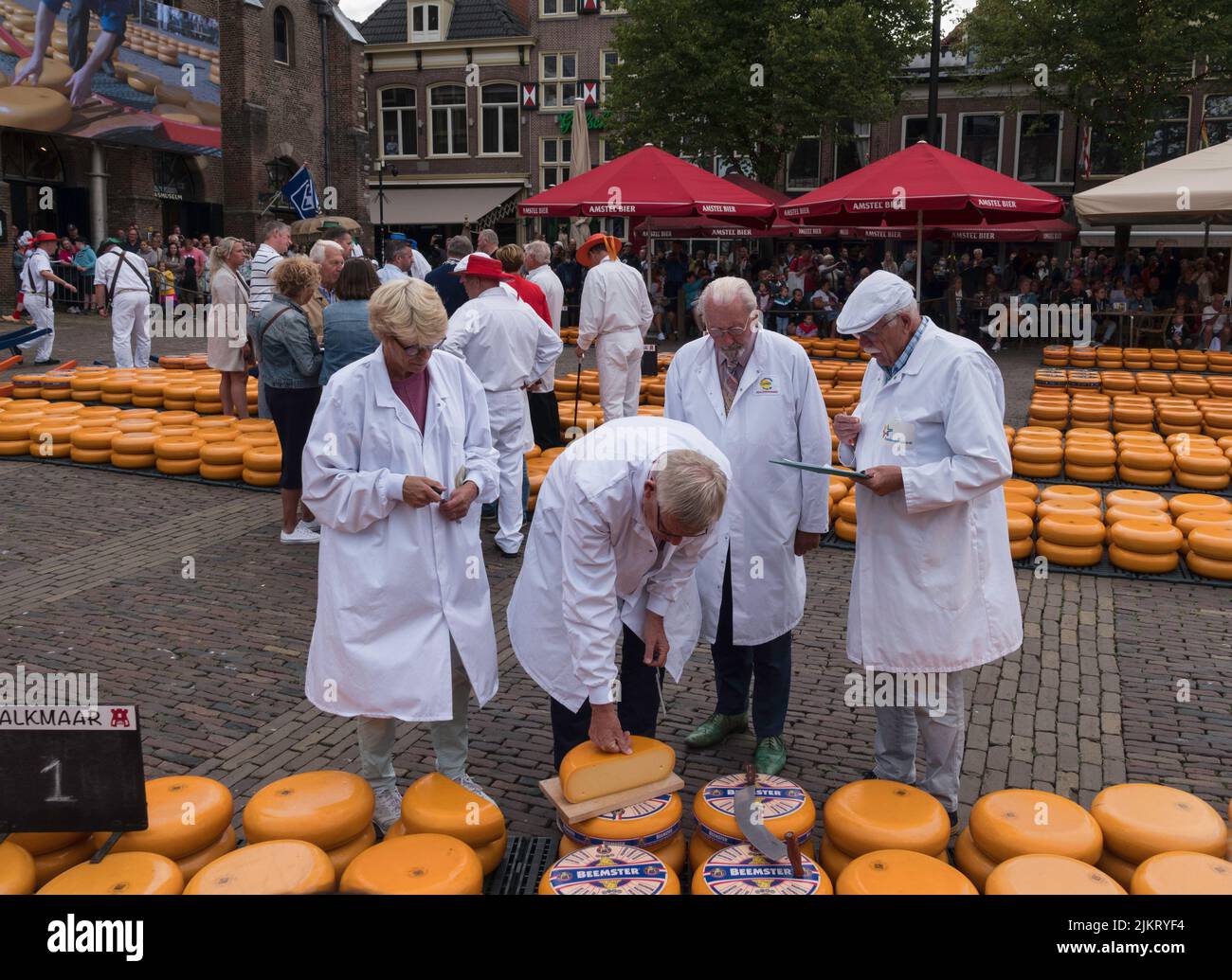 Die Tester prüfen die Qualität des Käses auf dem Käsemarkt in holland in Alkmaar Stockfoto