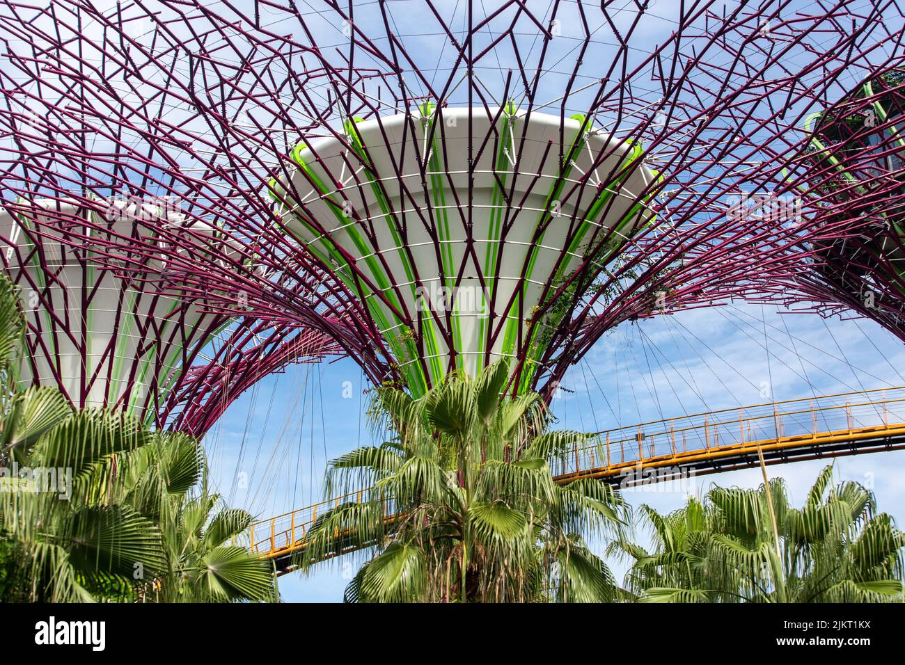 Nahaufnahme des Supertree Grove und Brückendesigns bei Gardens by the Bay. Erkunden Sie die Natur des Gartens im Stadtkonzept. Grüner Stadtpark. Singapur. Stockfoto