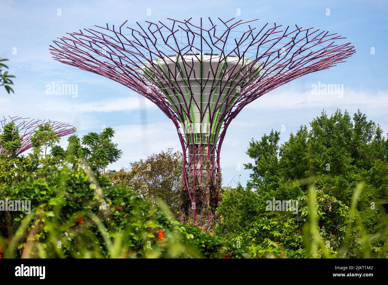 Blick aus nächster Nähe auf die malerische Supertree-Grove-Skulptur in Gardens by the Bay. 2022 Stockfoto