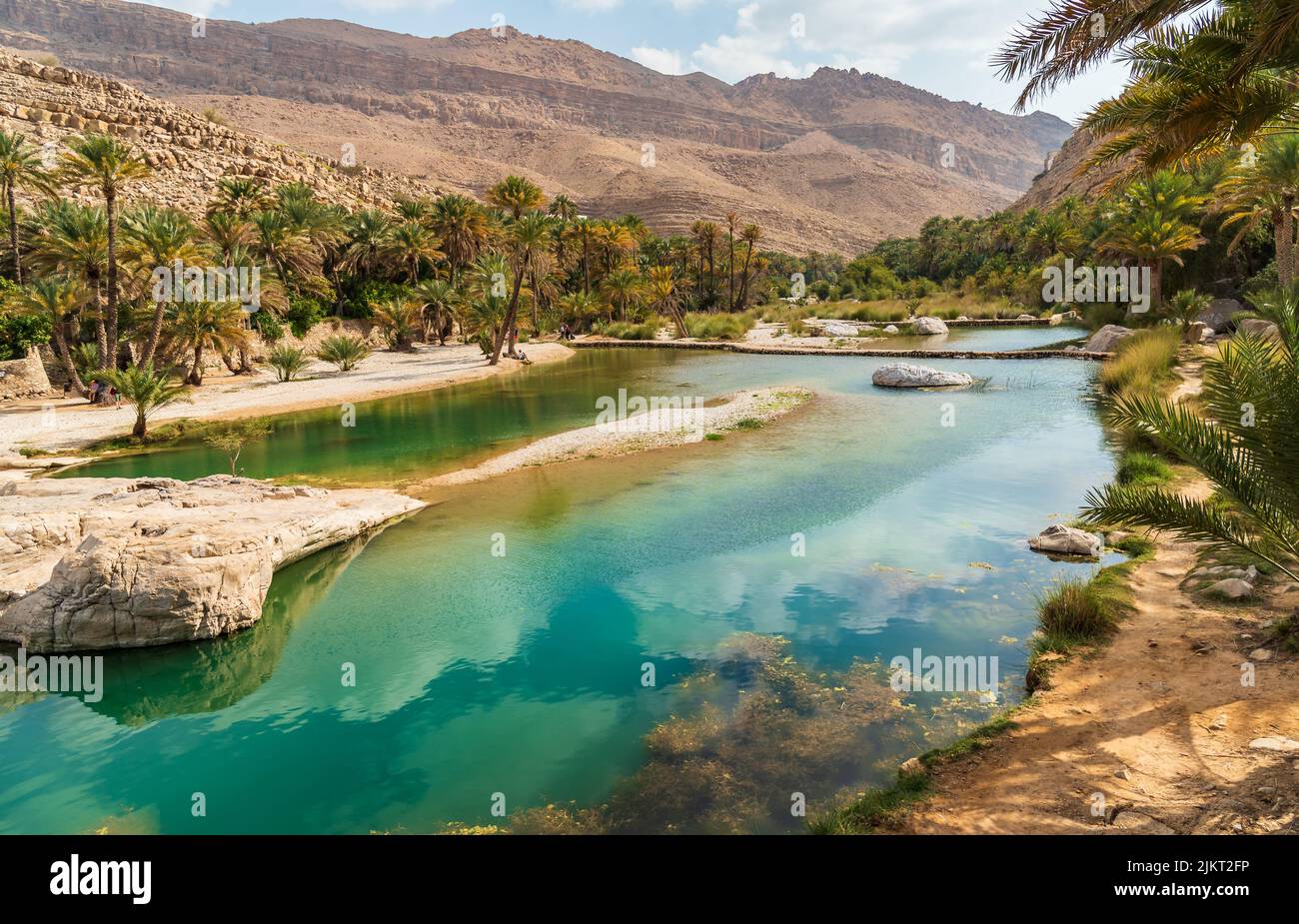 Blick auf die Oase Wadi Bani Khalid in der Wüste im Sultanat Oman. Stockfoto