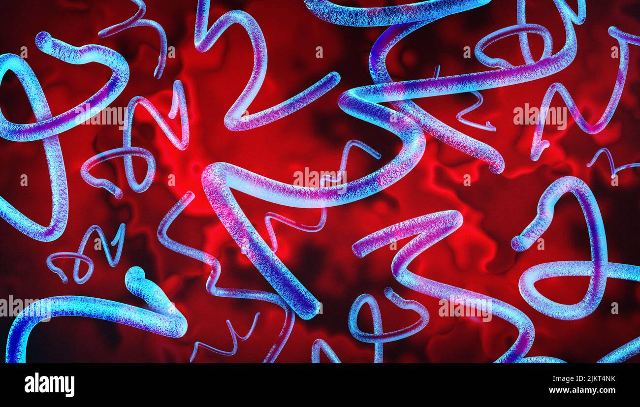 Lyme-Borreliose Bakterien-Konzept durch einen Hirsch Zeckenbiss als bakterielle Spirochete Pathogen-Infektion verursacht Gesundheitsgefahr als der Biss eines Parasiten. Stockfoto