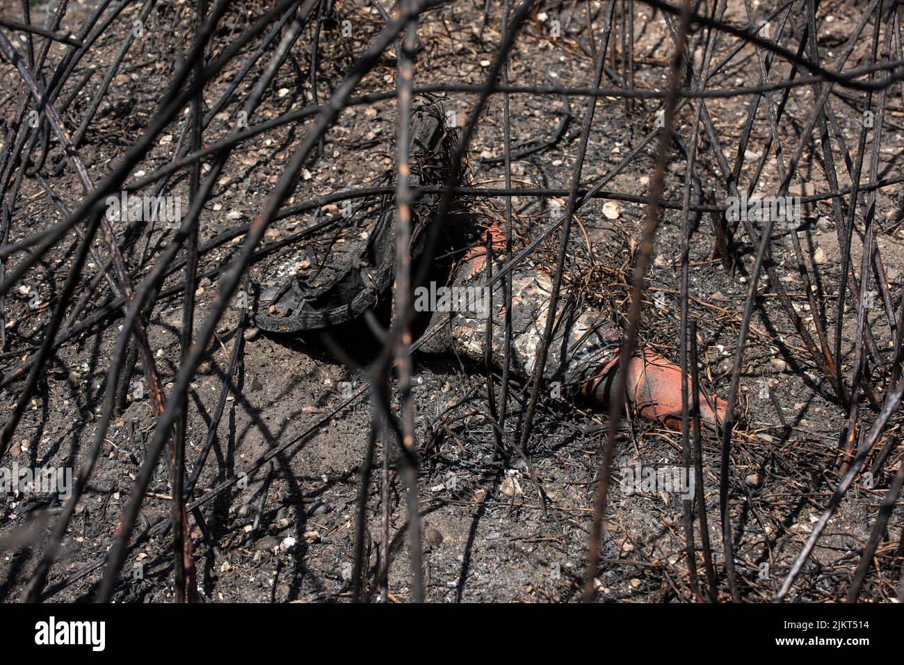 Nach dem Brand Pennington gemeinsame Dürre Juli 2022 Stockfoto