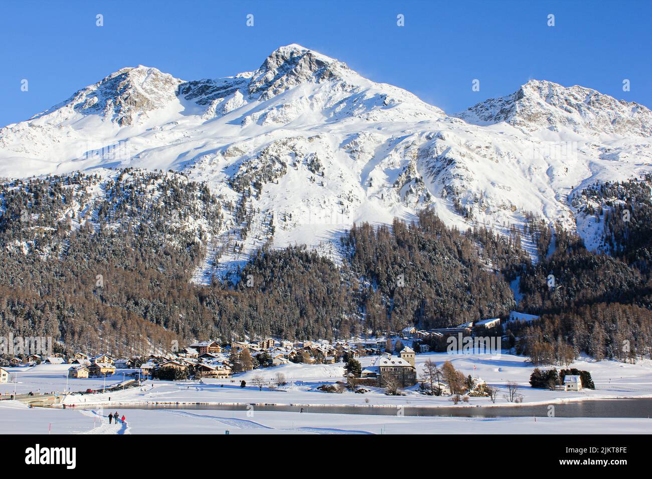 Eine hohe Klippe und ein dichter Wald Stockfoto